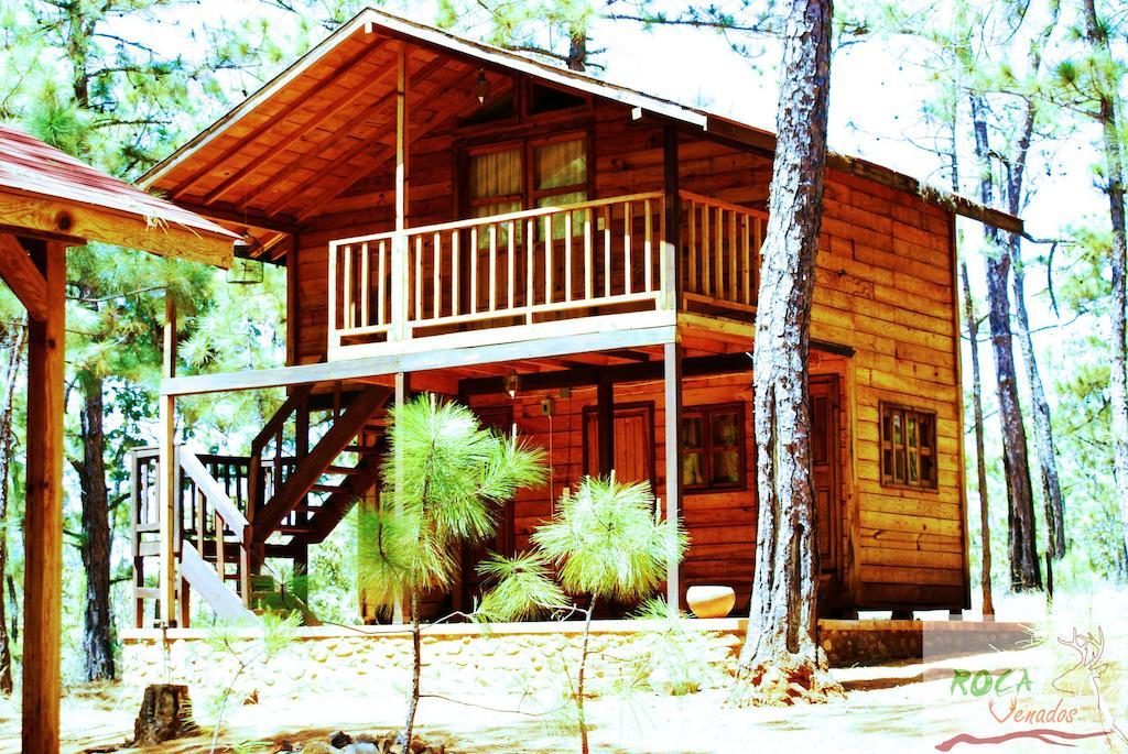 Rocavenados Villa Mascota Habitación foto